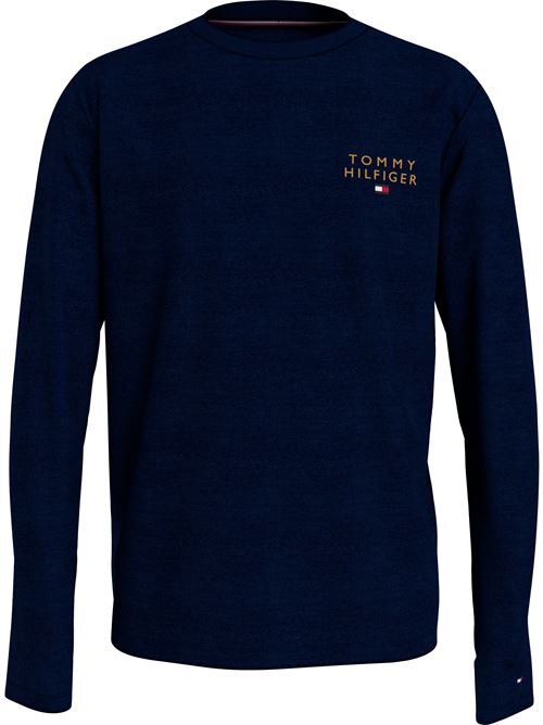 T-shirt Tommy hilfiger | UM0UM03067DW5 BLU